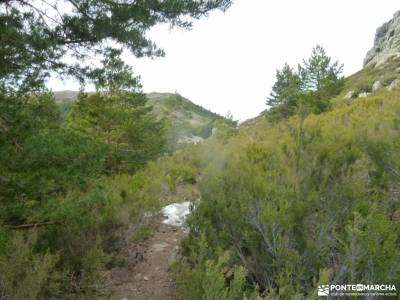 Peña La Cabra-Porrejón-Sierra Rincón;senderismo viriato montana madrid castañar tiemblo